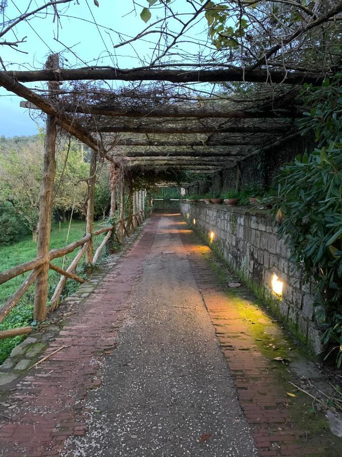 Sunrise Luxury Experience Panzió Piano di Sorrento Kültér fotó
