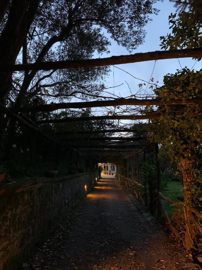 Sunrise Luxury Experience Panzió Piano di Sorrento Kültér fotó