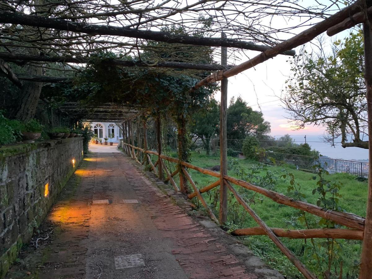 Sunrise Luxury Experience Panzió Piano di Sorrento Kültér fotó